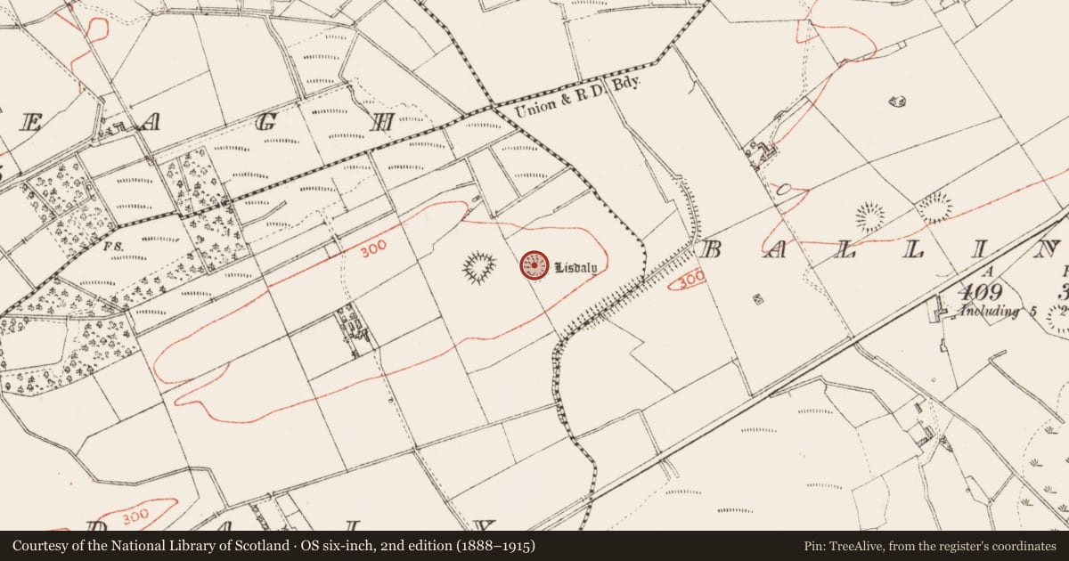 Ordnance Survey six-inch map, 2nd edition (1888–1915) covering the location of Ringfort - rath, Lisdaly, County Roscommon, with a pin at the register's coordinates