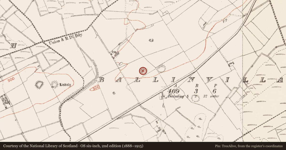 Ordnance Survey six-inch map, 2nd edition (1888–1915) covering the location of Ringfort - rath, Ballinvilla, County Roscommon, with a pin at the register's coordinates