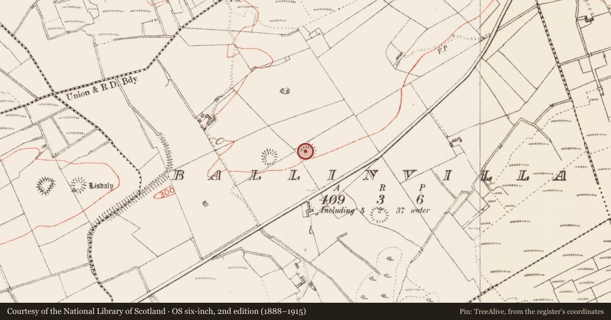 Ordnance Survey six-inch map, 2nd edition (1888–1915) covering the location of Ringfort - rath, Ballinvilla, County Roscommon, with a pin at the register's coordinates