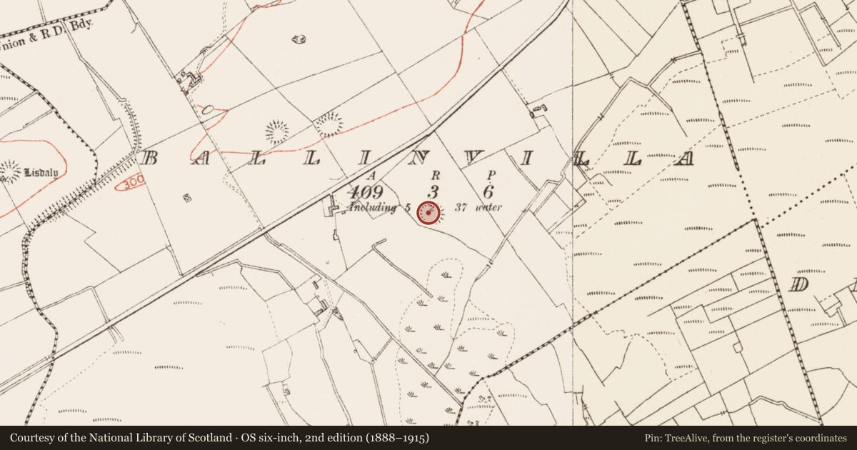 Ordnance Survey six-inch map, 2nd edition (1888–1915) covering the location of Ringfort - rath, Ballinvilla, County Roscommon, with a pin at the register's coordinates
