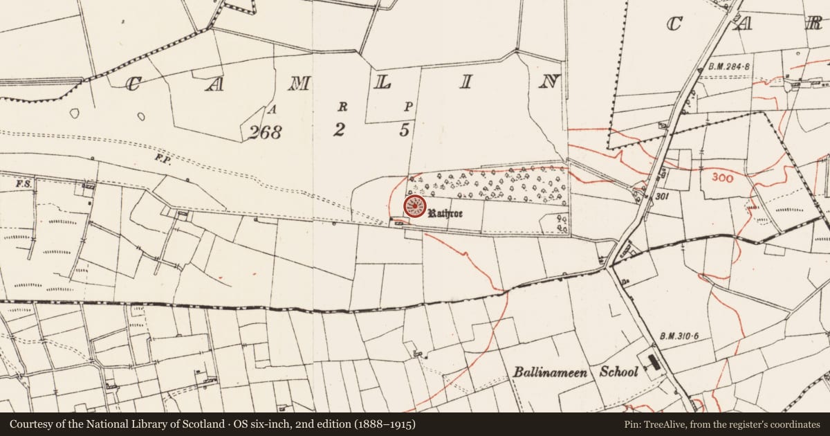 Ordnance Survey six-inch map, 2nd edition (1888–1915) covering the location of Ringfort - rath, Camlin, County Roscommon, with a pin at the register's coordinates