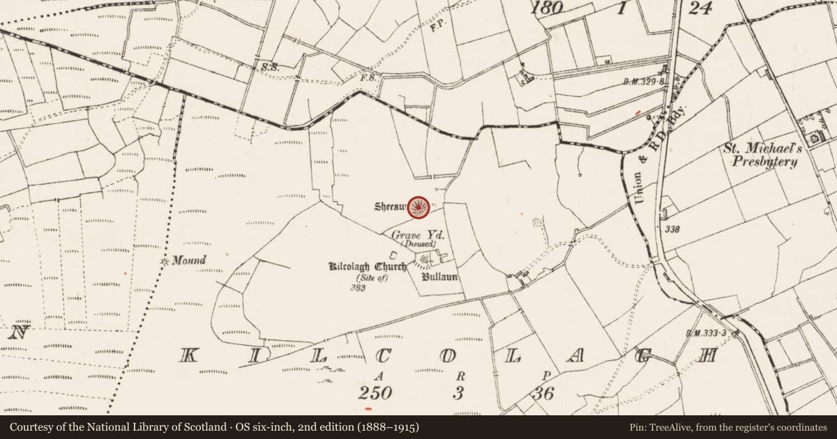 Ordnance Survey six-inch map, 2nd edition (1888–1915) covering the location of Barrow - embanked barrow, Kilcolagh, County Roscommon, with a pin at the register's coordinates