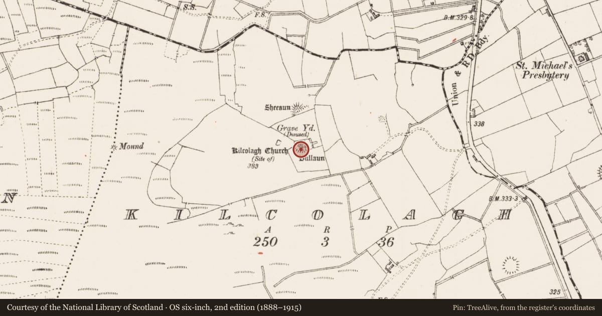 Ordnance Survey six-inch map, 2nd edition (1888–1915) covering the location of Bullaun stone, Kilcolagh, County Roscommon, with a pin at the register's coordinates