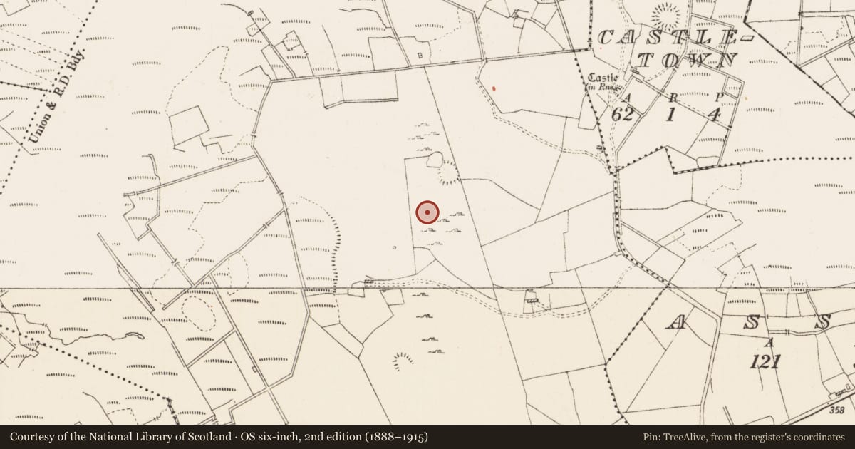Ordnance Survey six-inch map, 2nd edition (1888–1915) covering the location of Field system, Portobello, County Roscommon, with a pin at the register's coordinates