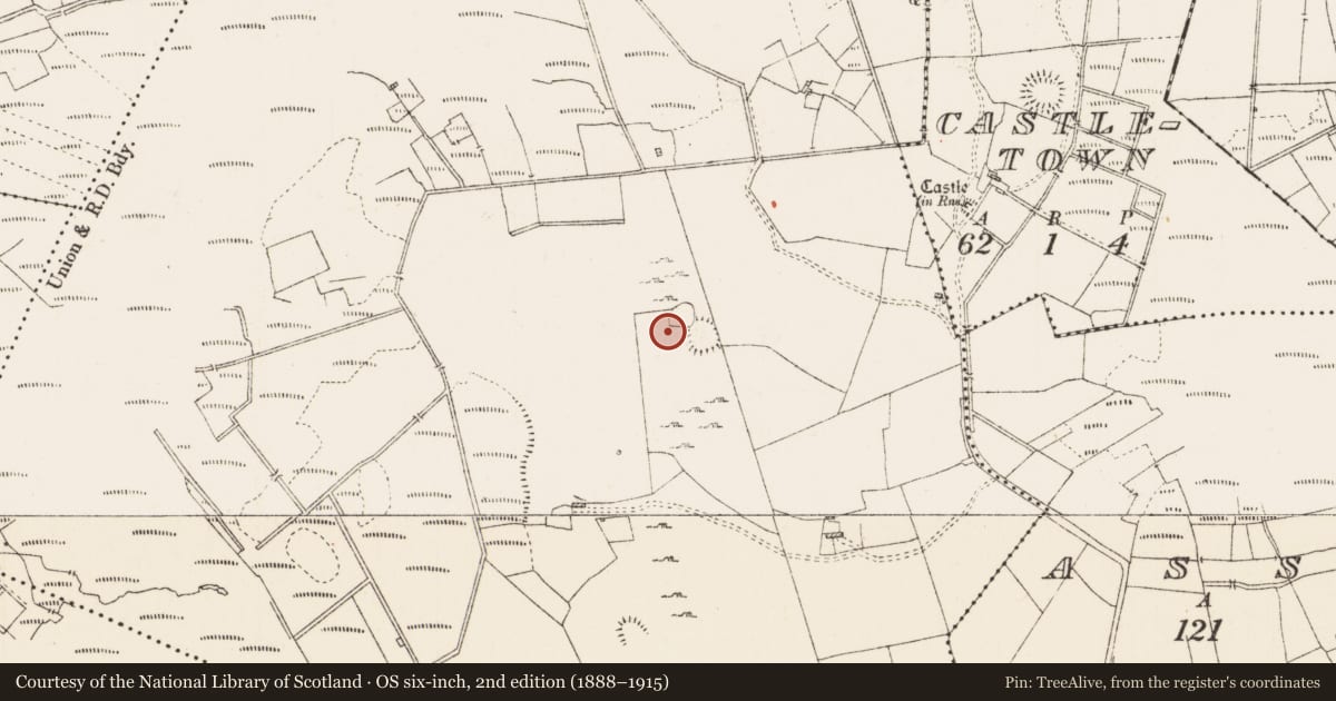 Ordnance Survey six-inch map, 2nd edition (1888–1915) covering the location of House - indeterminate date, Portobello, County Roscommon, with a pin at the register's coordinates