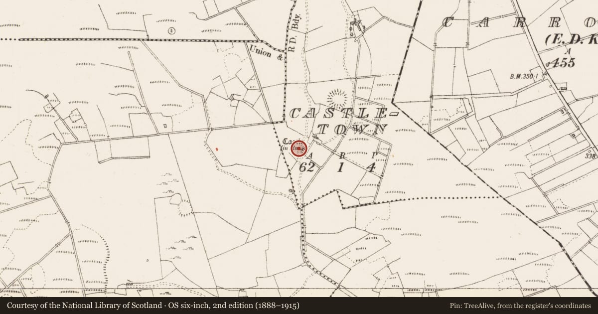 Ordnance Survey six-inch map, 2nd edition (1888–1915) covering the location of Castle - unclassified, Castletown, County Roscommon, with a pin at the register's coordinates