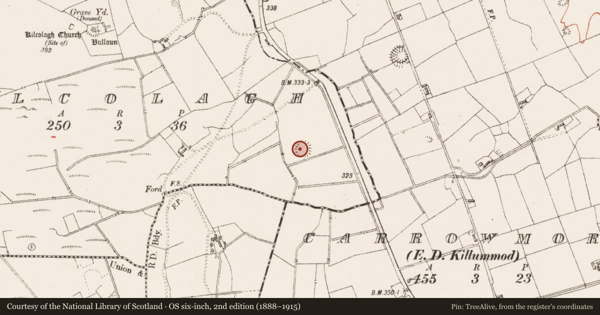 Ordnance Survey six-inch map, 2nd edition (1888–1915) covering the location of Ringfort - rath, Kilcolagh, County Roscommon, with a pin at the register's coordinates
