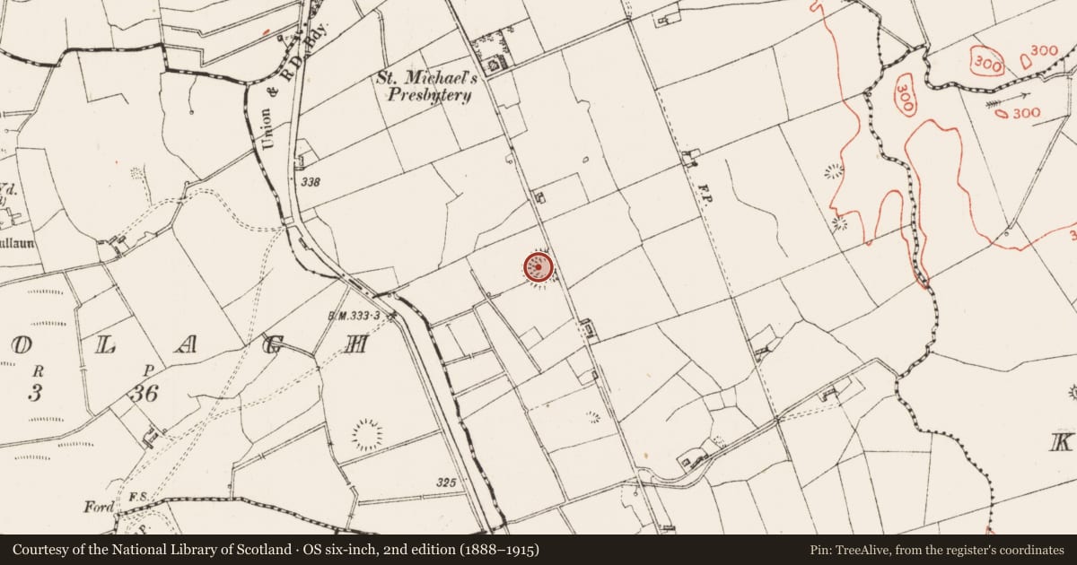 Ordnance Survey six-inch map, 2nd edition (1888–1915) covering the location of Ringfort - rath, Carrowmore, County Roscommon, with a pin at the register's coordinates