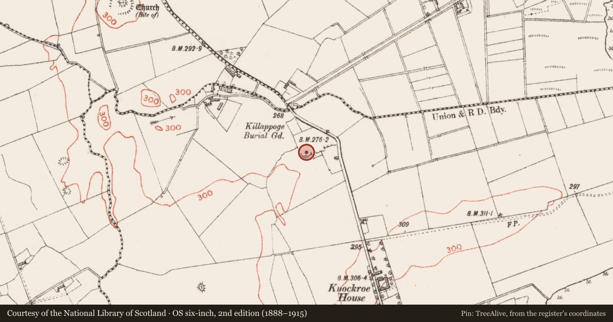 Ordnance Survey six-inch map, 2nd edition (1888–1915) covering the location of Ringfort - rath, Knockroe, County Roscommon, with a pin at the register's coordinates