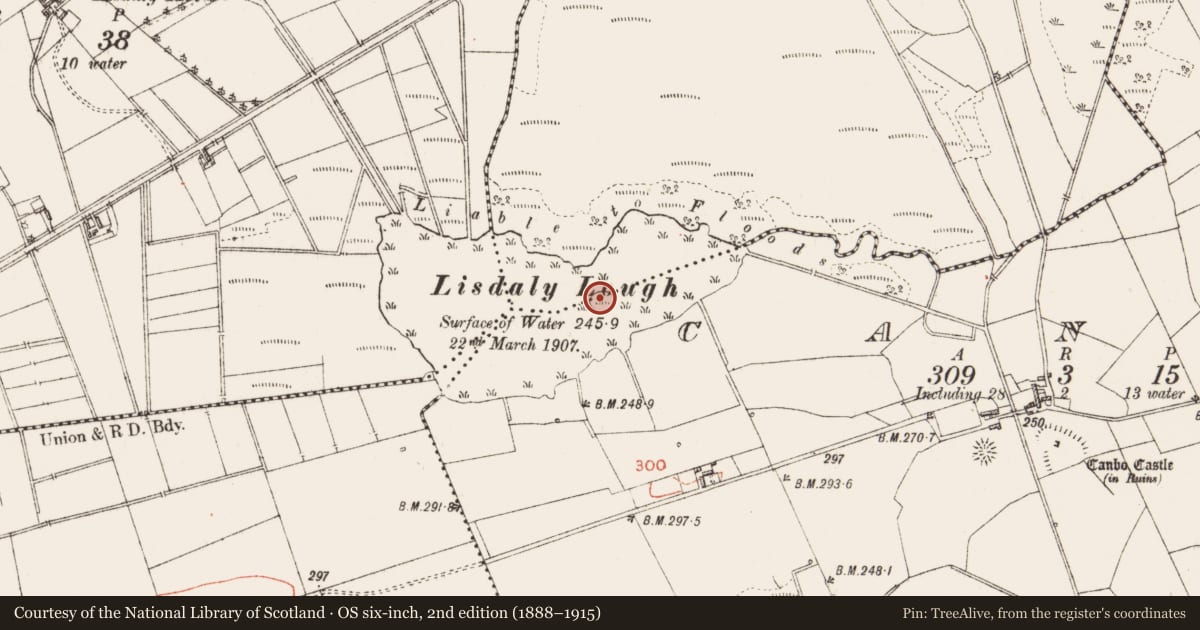 Ordnance Survey six-inch map, 2nd edition (1888–1915) covering the location of Crannog, Ballinvilla, Canbo, County Roscommon, with a pin at the register's coordinates