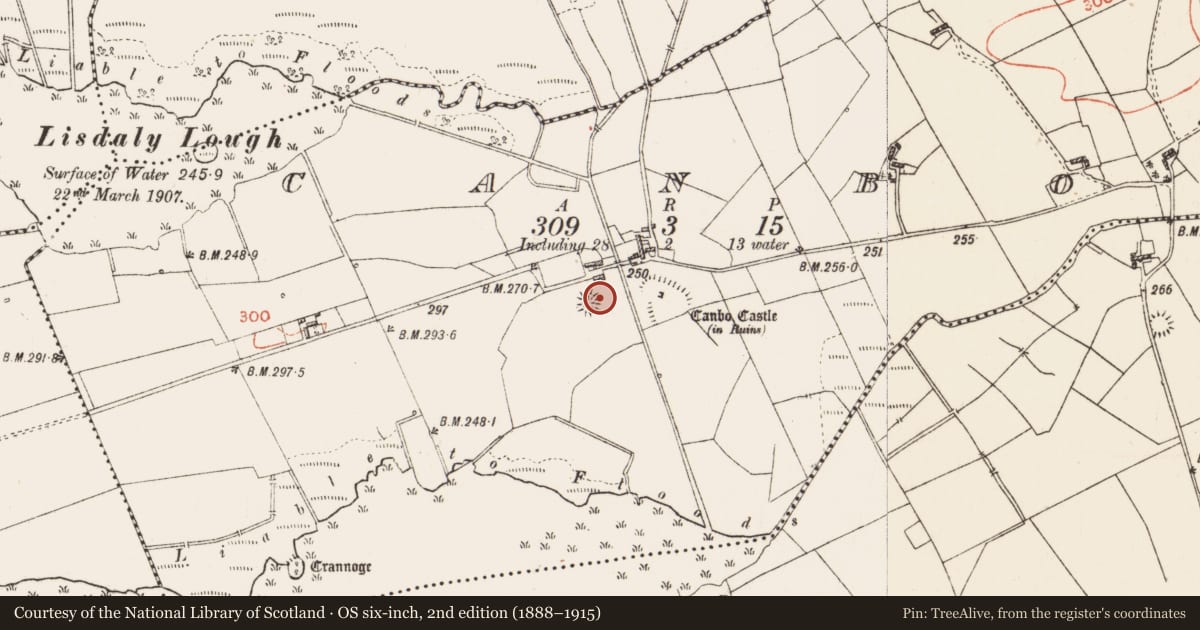 Ordnance Survey six-inch map, 2nd edition (1888–1915) covering the location of Enclosure, Canbo, County Roscommon, with a pin at the register's coordinates