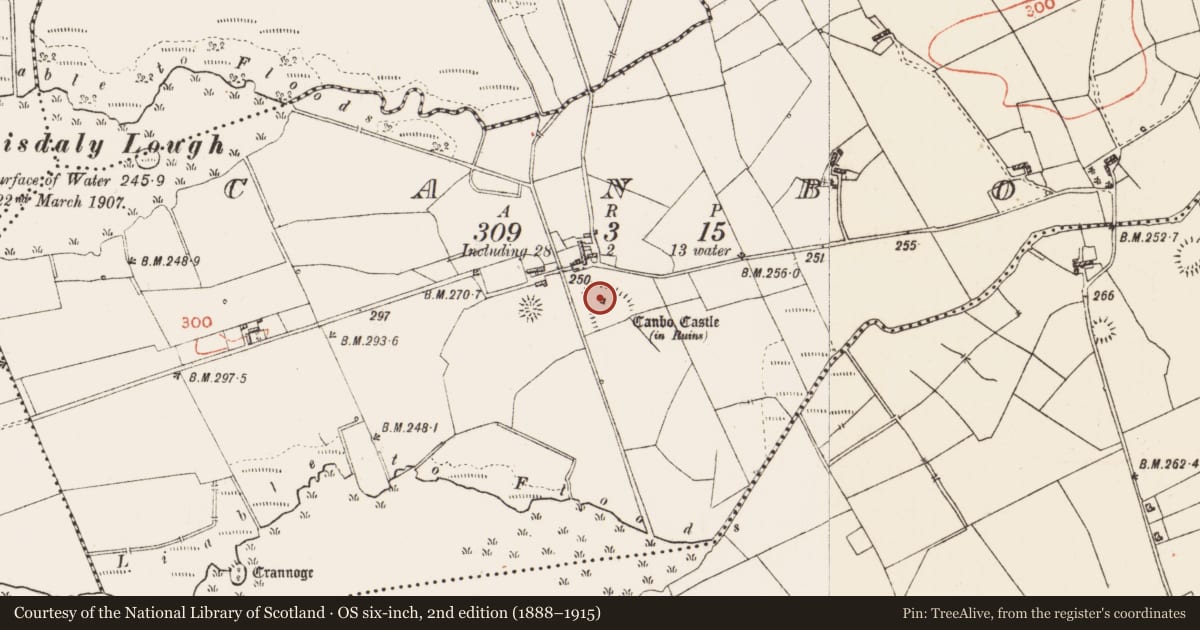 Ordnance Survey six-inch map, 2nd edition (1888–1915) covering the location of House - 16th/17th century, Canbo, County Roscommon, with a pin at the register's coordinates