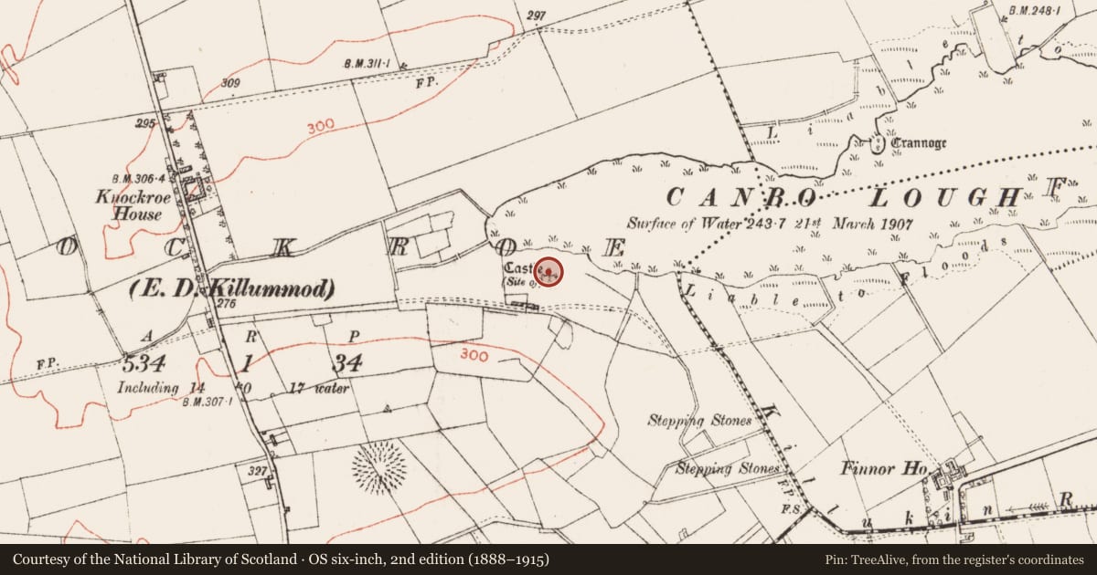 Ordnance Survey six-inch map, 2nd edition (1888–1915) covering the location of Castle - unclassified, Knockroe, County Roscommon, with a pin at the register's coordinates