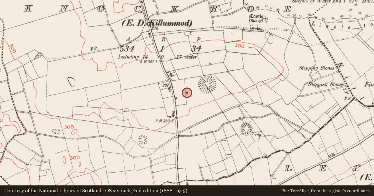 Ordnance Survey six-inch map, 2nd edition (1888–1915) covering the location of Barrow - mound barrow, Knockroe, County Roscommon, with a pin at the register's coordinates