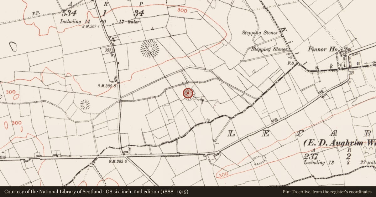 Ordnance Survey six-inch map, 2nd edition (1888–1915) covering the location of Ringfort - rath, Knockroe, County Roscommon, with a pin at the register's coordinates