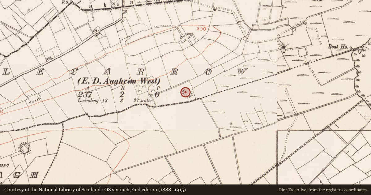 Ordnance Survey six-inch map, 2nd edition (1888–1915) covering the location of Ringfort - rath, Lecarrow, County Roscommon, with a pin at the register's coordinates