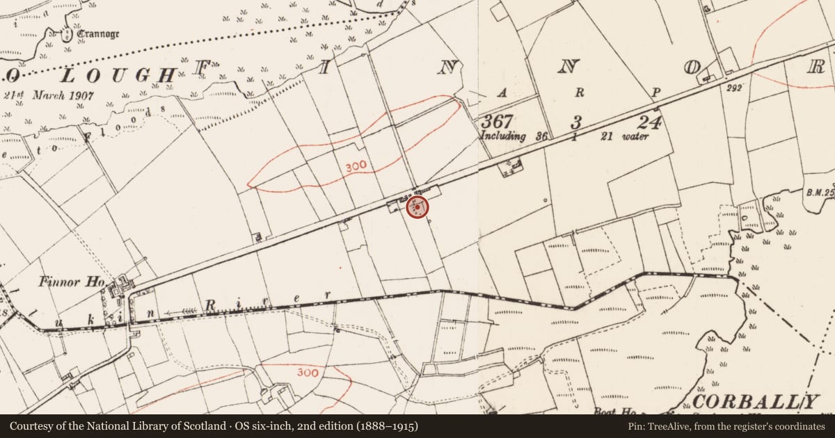 Ordnance Survey six-inch map, 2nd edition (1888–1915) covering the location of Ringfort - rath, Finnor, County Roscommon, with a pin at the register's coordinates