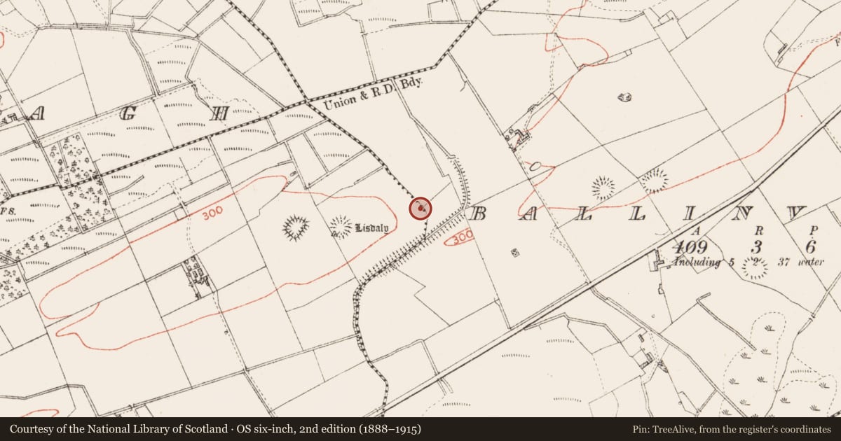 Ordnance Survey six-inch map, 2nd edition (1888–1915) covering the location of Concentric enclosure, Lisdaly, Ballinvilla, County Roscommon, with a pin at the register's coordinates