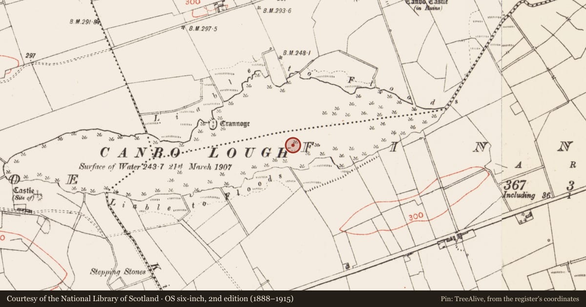 Ordnance Survey six-inch map, 2nd edition (1888–1915) covering the location of Crannog, Finnor, County Roscommon, with a pin at the register's coordinates