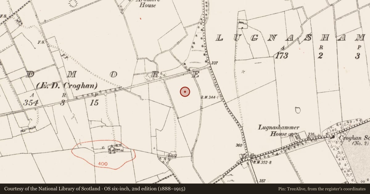 Ordnance Survey six-inch map, 2nd edition (1888–1915) covering the location of Barrow - mound barrow, Ardmore, County Roscommon, with a pin at the register's coordinates