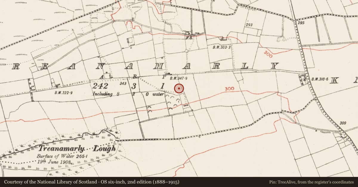 Ordnance Survey six-inch map, 2nd edition (1888–1915) covering the location of Ringfort - rath, Treanamarly, County Roscommon, with a pin at the register's coordinates