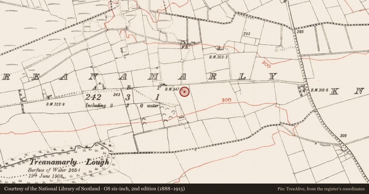 Ordnance Survey six-inch map, 2nd edition (1888–1915) covering the location of Ringfort - rath, Treanamarly, County Roscommon, with a pin at the register's coordinates