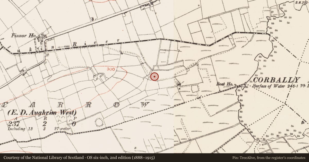 Ordnance Survey six-inch map, 2nd edition (1888–1915) covering the location of Ringfort - rath, Lecarrow, County Roscommon, with a pin at the register's coordinates