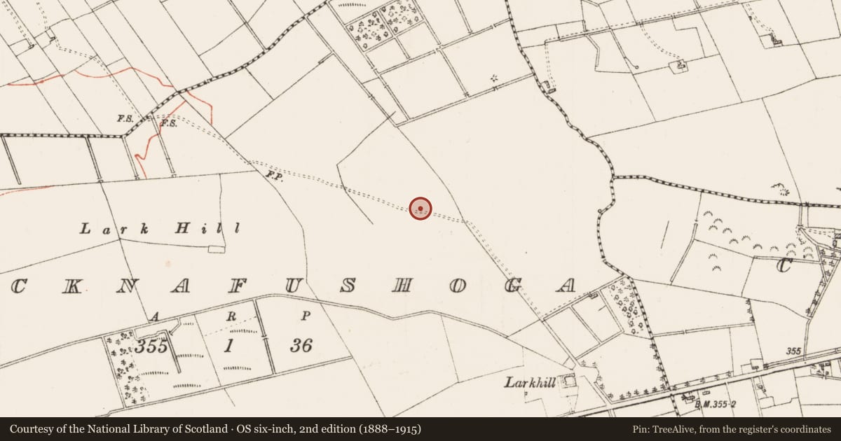 Ordnance Survey six-inch map, 2nd edition (1888–1915) covering the location of House - indeterminate date, Knocknafushoga, County Roscommon, with a pin at the register's coordinates