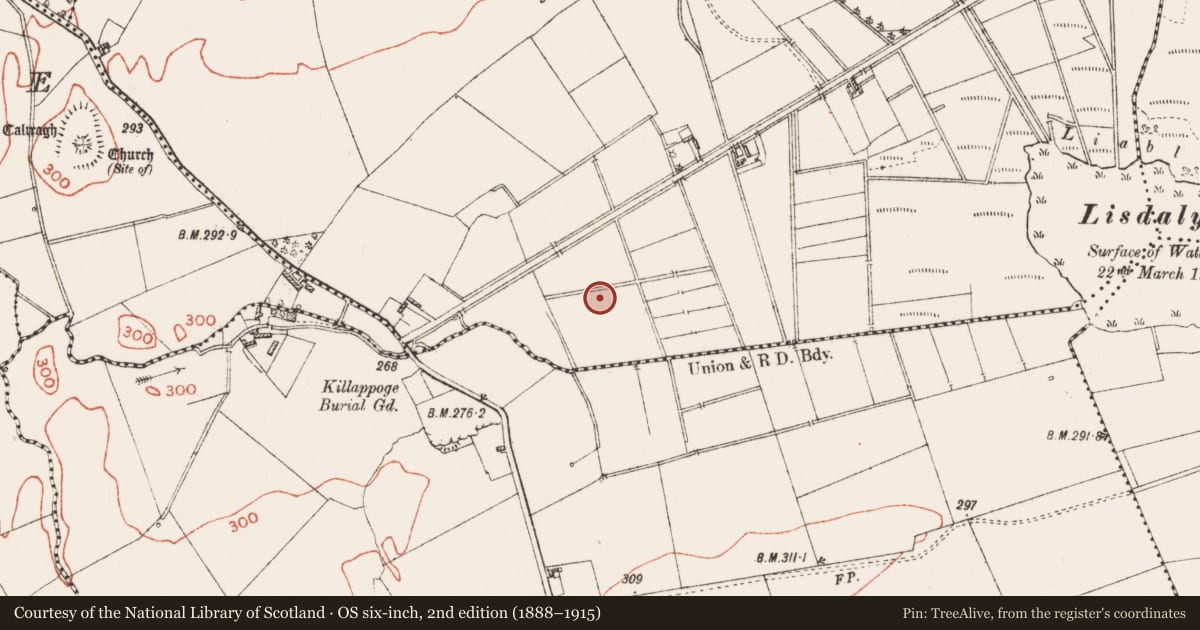 Ordnance Survey six-inch map, 2nd edition (1888–1915) covering the location of Ringfort - rath, Lisdaly, County Roscommon, with a pin at the register's coordinates