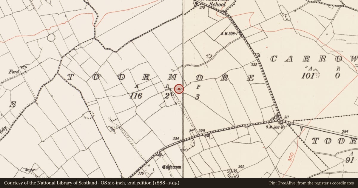 Ordnance Survey six-inch map, 2nd edition (1888–1915) covering the location of Ringfort - rath, Toormore, County Roscommon, with a pin at the register's coordinates
