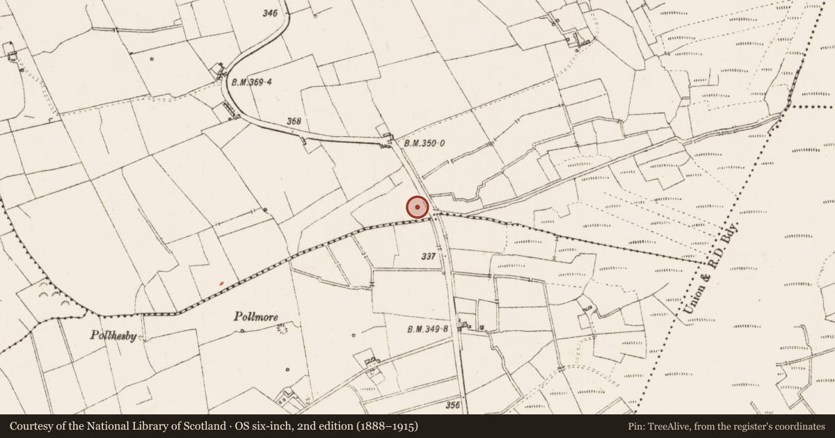 Ordnance Survey six-inch map, 2nd edition (1888–1915) covering the location of Fulacht fia, Ratallen, County Roscommon, with a pin at the register's coordinates