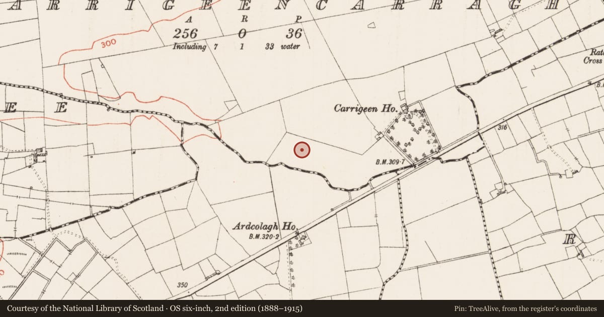 Ordnance Survey six-inch map, 2nd edition (1888–1915) covering the location of Enclosure, Carrigeencarragh, County Roscommon, with a pin at the register's coordinates