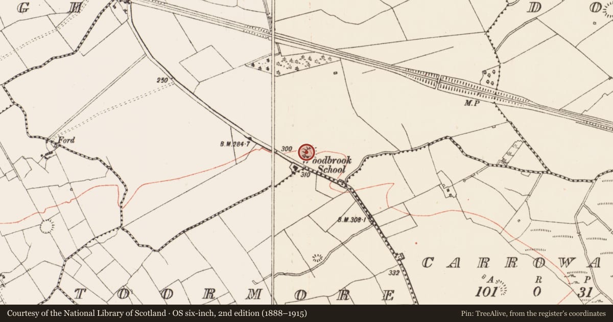 Ordnance Survey six-inch map, 2nd edition (1888–1915) covering the location of Ringfort - rath, Woodbrook, County Roscommon, with a pin at the register's coordinates