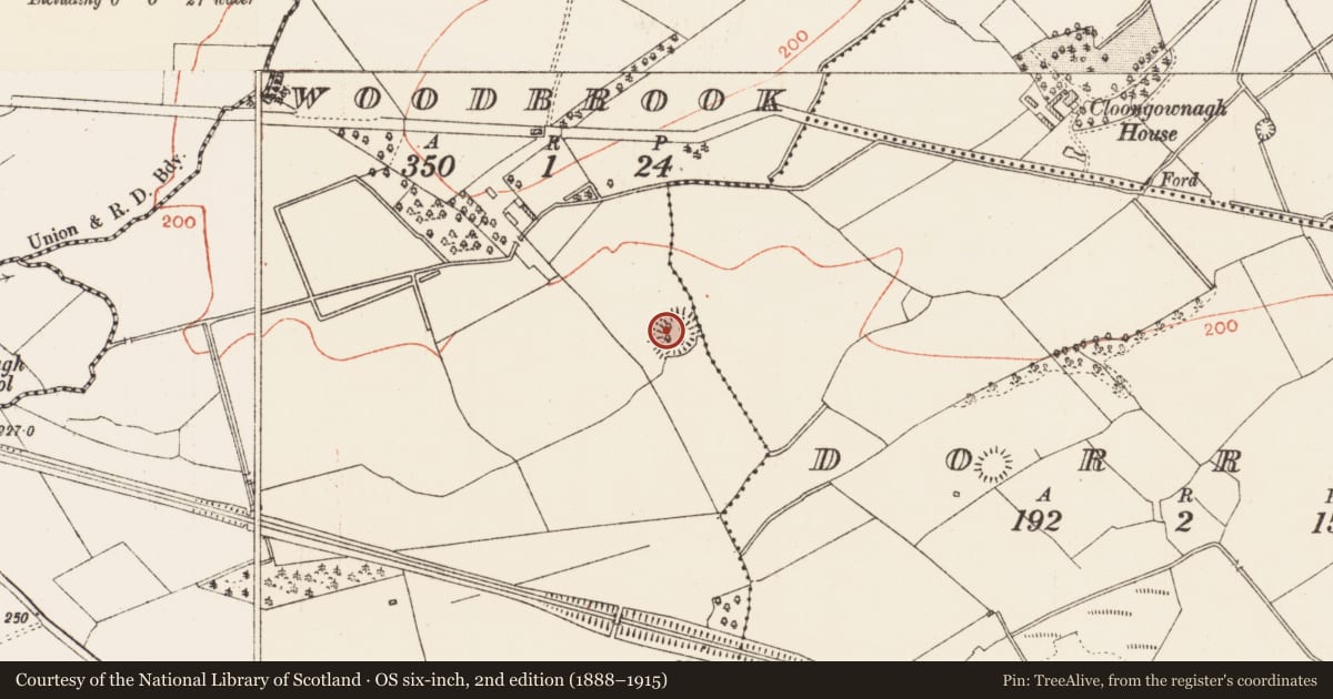 Ordnance Survey six-inch map, 2nd edition (1888–1915) covering the location of Ringfort - rath, Woodbrook, County Roscommon, with a pin at the register's coordinates