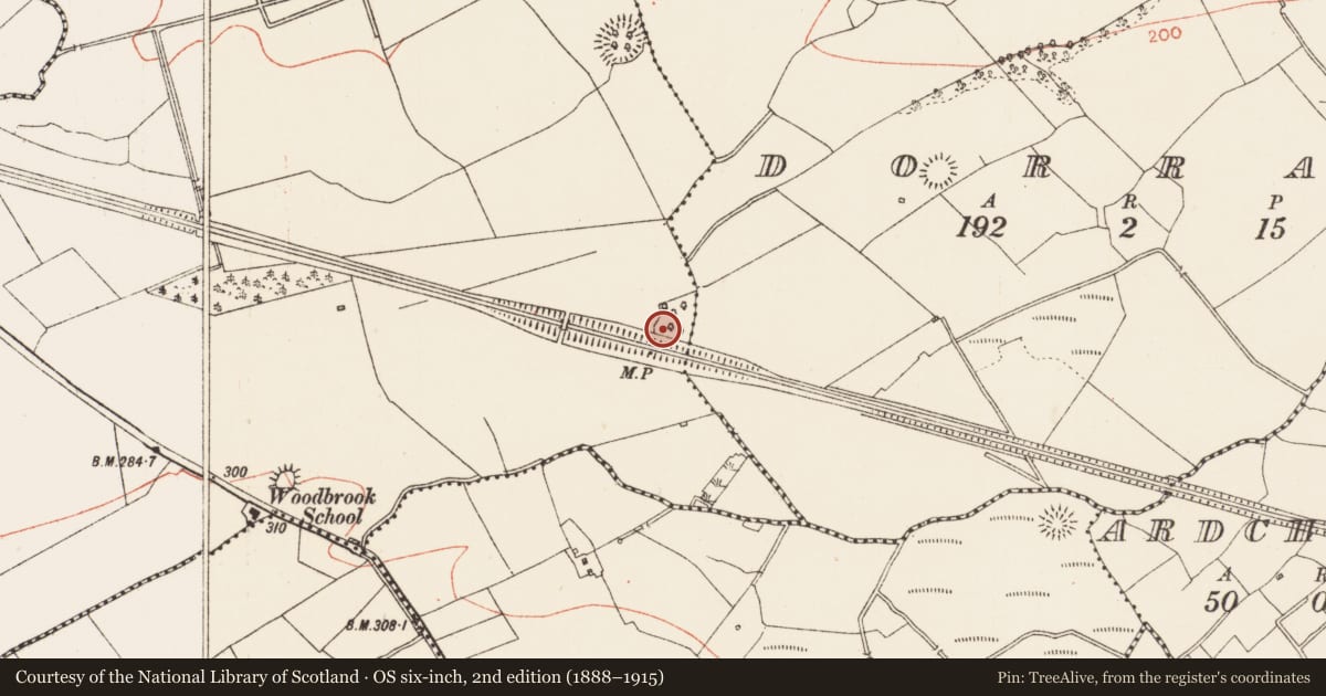 Ordnance Survey six-inch map, 2nd edition (1888–1915) covering the location of Ringfort - rath, Woodbrook, County Roscommon, with a pin at the register's coordinates