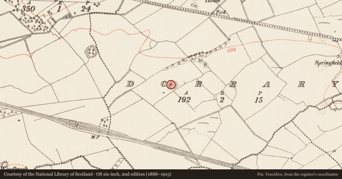 Ordnance Survey six-inch map, 2nd edition (1888–1915) covering the location of Ringfort - rath, Dorrary, County Roscommon, with a pin at the register's coordinates