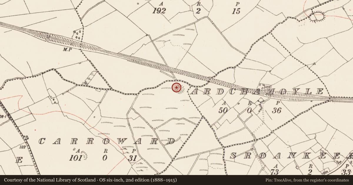 Ordnance Survey six-inch map, 2nd edition (1888–1915) covering the location of Ringfort - rath, Carroward, County Roscommon, with a pin at the register's coordinates