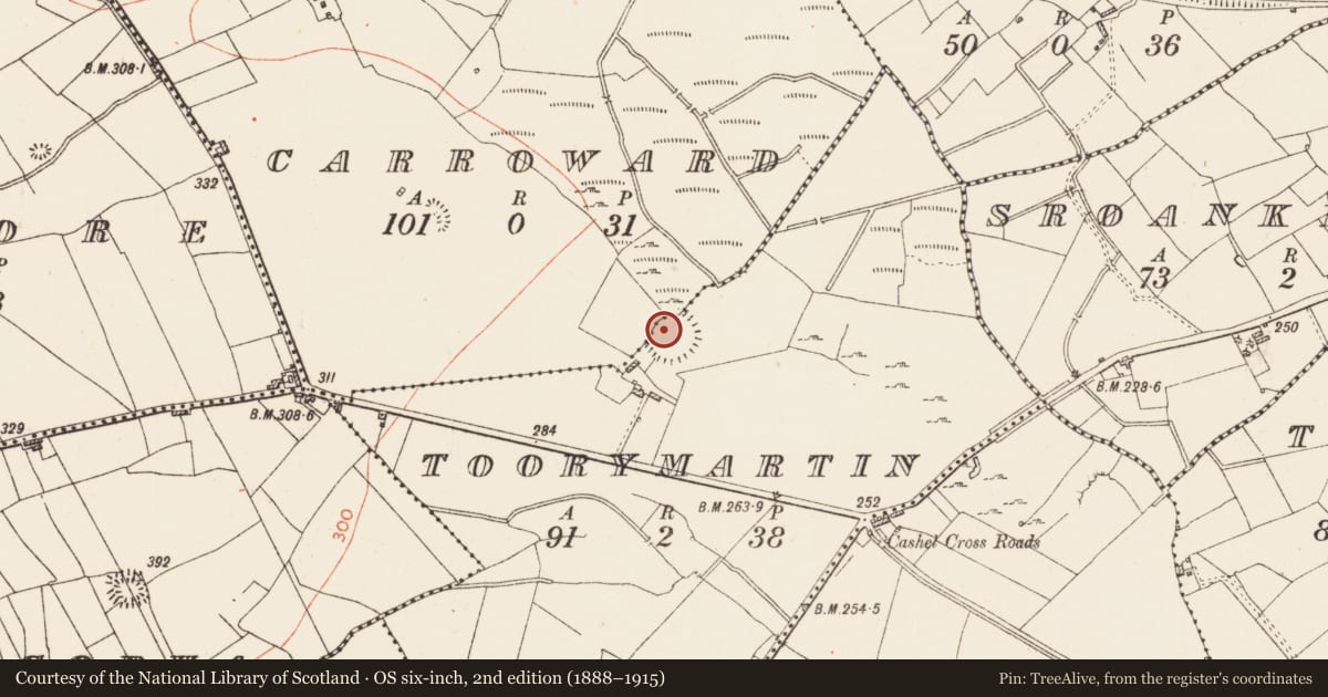 Ordnance Survey six-inch map, 2nd edition (1888–1915) covering the location of Ringfort - cashel, Carroward, Toorymartin, County Roscommon, with a pin at the register's coordinates