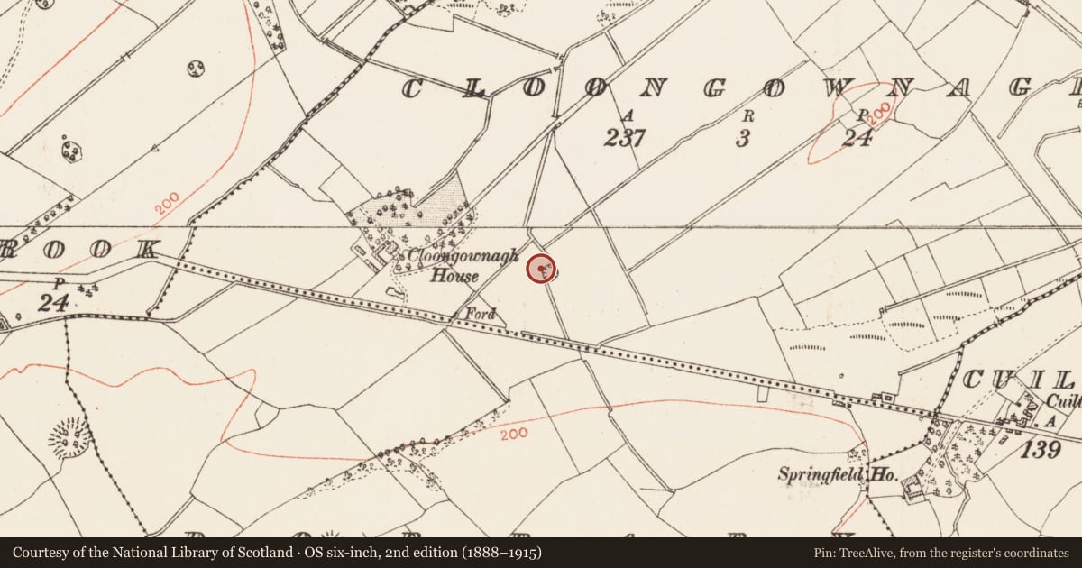 Ordnance Survey six-inch map, 2nd edition (1888–1915) covering the location of Ringfort - rath, Cloongownagh, County Roscommon, with a pin at the register's coordinates