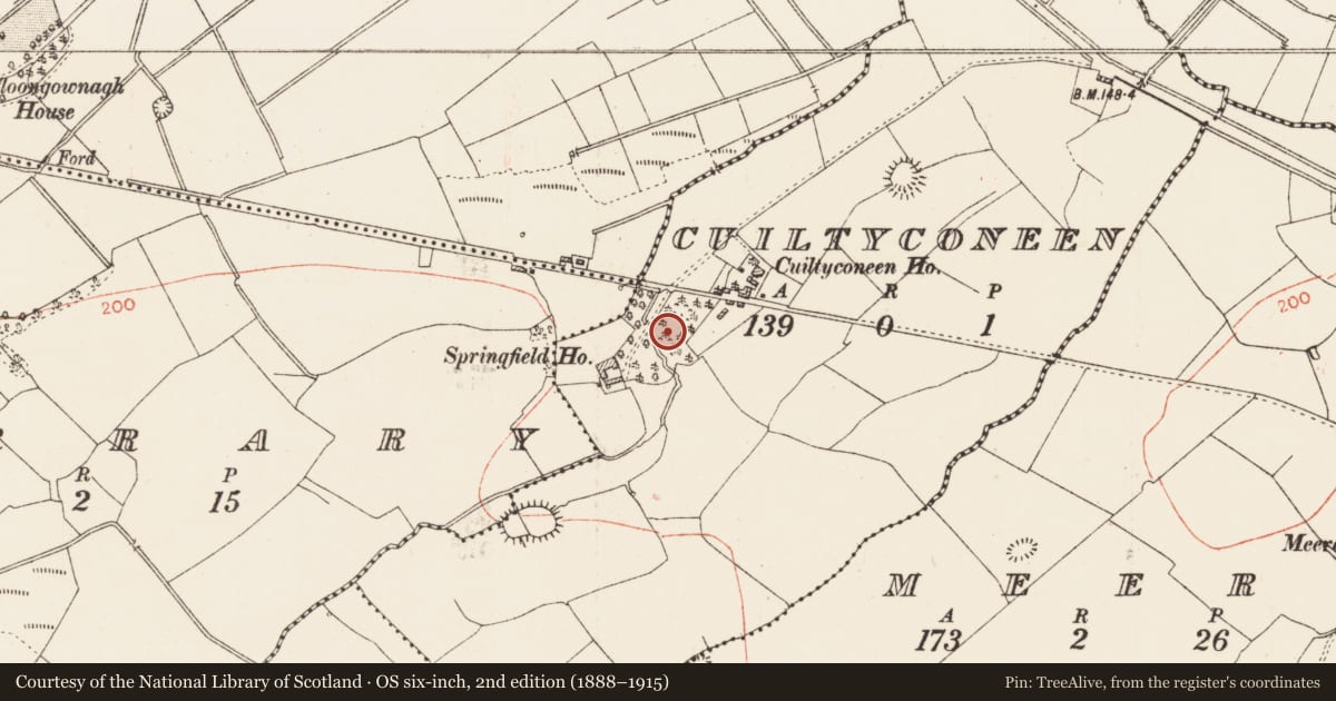 Ordnance Survey six-inch map, 2nd edition (1888–1915) covering the location of Ringfort - rath, Cuiltyconeen, County Roscommon, with a pin at the register's coordinates