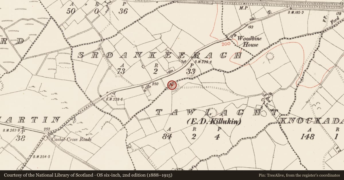 Ordnance Survey six-inch map, 2nd edition (1888–1915) covering the location of Ringfort - rath, Tawlaght, County Roscommon, with a pin at the register's coordinates