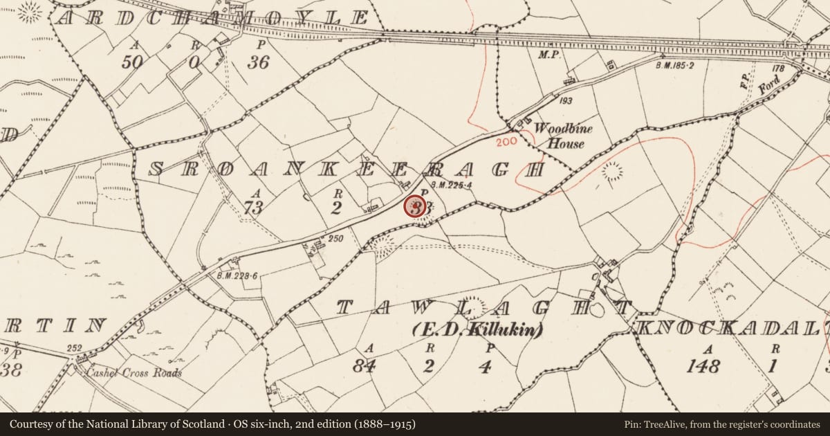 Ordnance Survey six-inch map, 2nd edition (1888–1915) covering the location of Ringfort - rath, Sroankeeragh, County Roscommon, with a pin at the register's coordinates