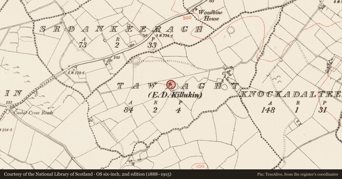 Ordnance Survey six-inch map, 2nd edition (1888–1915) covering the location of Ringfort - rath, Tawlaght, County Roscommon, with a pin at the register's coordinates