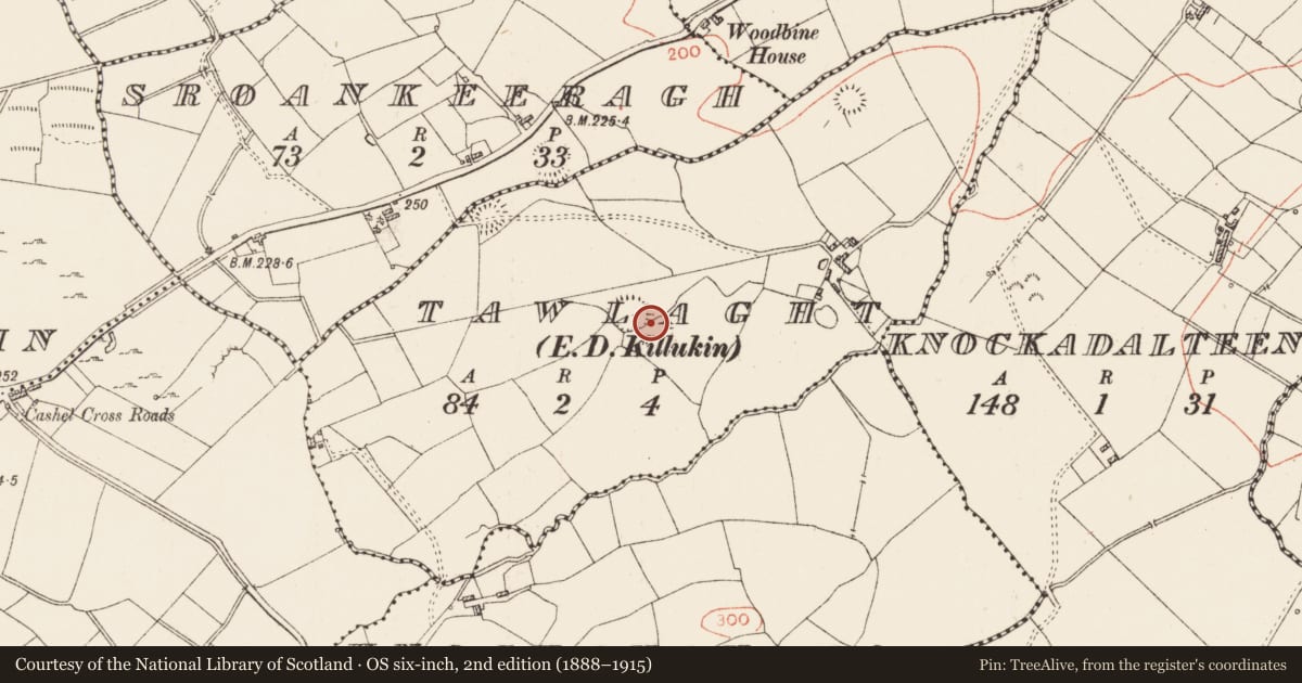 Ordnance Survey six-inch map, 2nd edition (1888–1915) covering the location of Ringfort - rath, Tawlaght, County Roscommon, with a pin at the register's coordinates