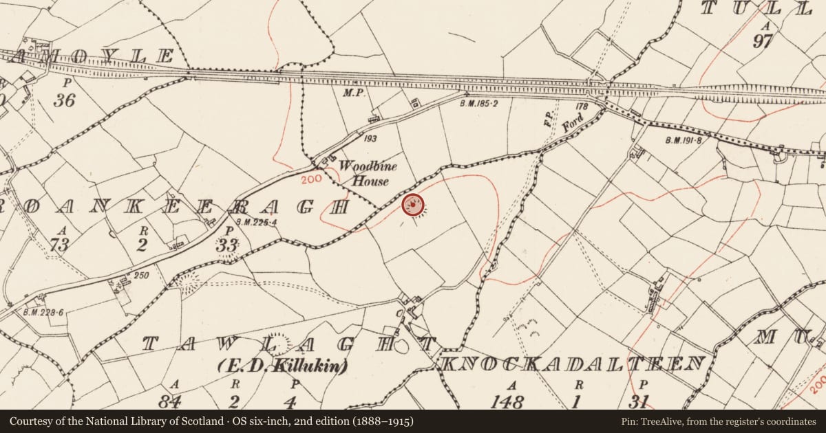 Ordnance Survey six-inch map, 2nd edition (1888–1915) covering the location of Ringfort - cashel, Tawlaght, County Roscommon, with a pin at the register's coordinates