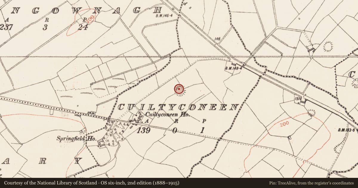 Ordnance Survey six-inch map, 2nd edition (1888–1915) covering the location of Ringfort - rath, Cuiltyconeen, County Roscommon, with a pin at the register's coordinates