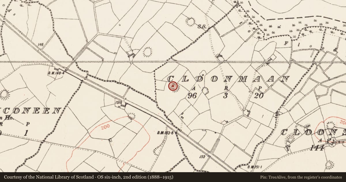 Ordnance Survey six-inch map, 2nd edition (1888–1915) covering the location of Ringfort - rath, Cloonmaan, County Roscommon, with a pin at the register's coordinates
