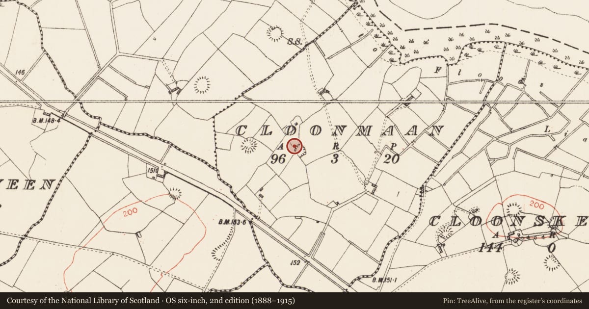 Ordnance Survey six-inch map, 2nd edition (1888–1915) covering the location of Hut site, Cloonmaan, County Roscommon, with a pin at the register's coordinates