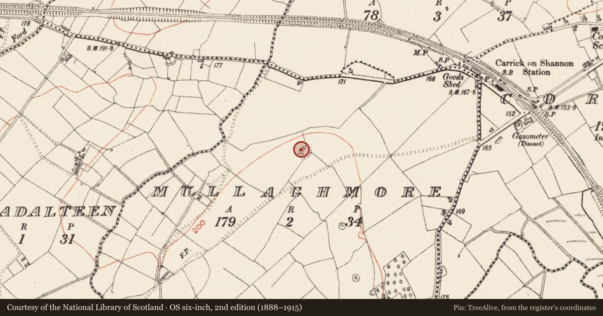Ordnance Survey six-inch map, 2nd edition (1888–1915) covering the location of Ringfort - rath, Mullaghmore, County Roscommon, with a pin at the register's coordinates