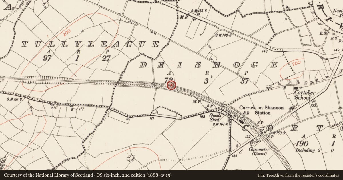 Ordnance Survey six-inch map, 2nd edition (1888–1915) covering the location of Ringfort - rath, Drishoge, County Roscommon, with a pin at the register's coordinates